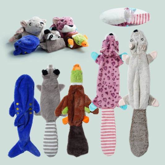 Nocciola 2 - in - 1 No Stuffing Water Bottle Dog Toys for Aggressive chewers, 2 Extra Long & 3 Regular Size - Happy Hounds Pet Supply