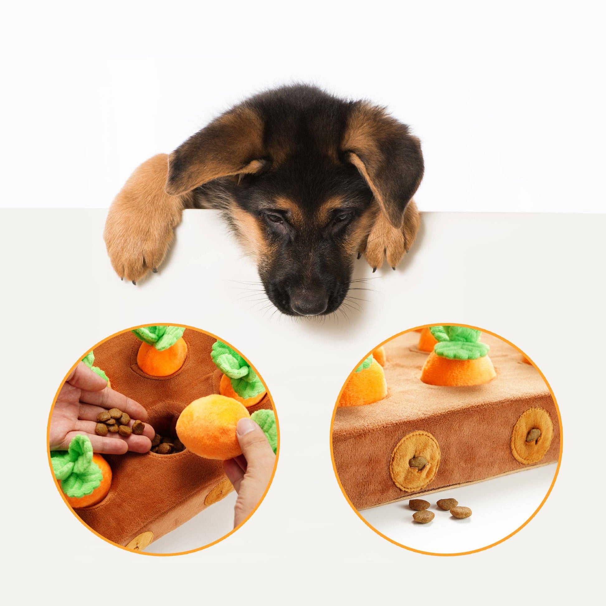 Nocciola Carrot Farm Interactive Dog Toy - Happy Hounds Pet Supply