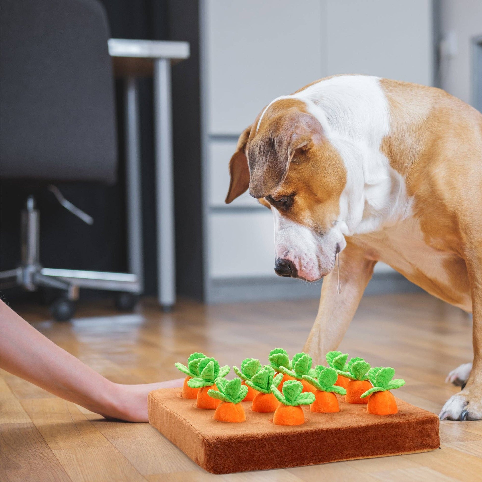 Nocciola Carrot Farm Interactive Dog Toy - Happy Hounds Pet Supply