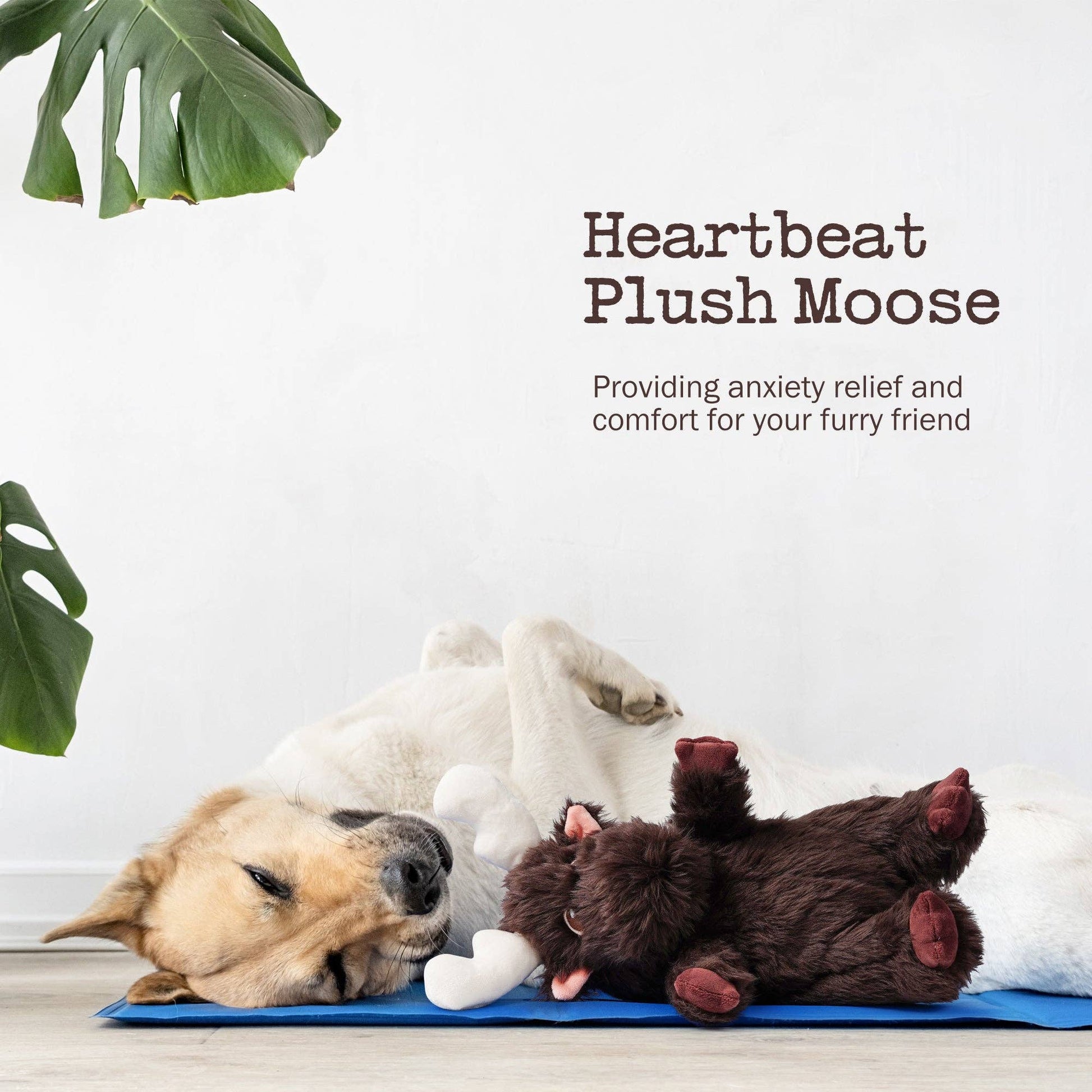 Nocciola Moose Heart Beat Dog Toy - Happy Hounds Pet Supply