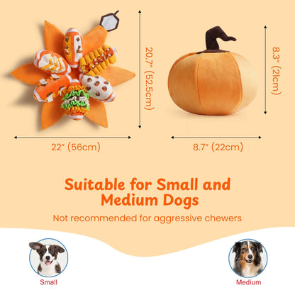 Nocciola Pumpkin Puzzle Dog Toy - Happy Hounds Pet Supply