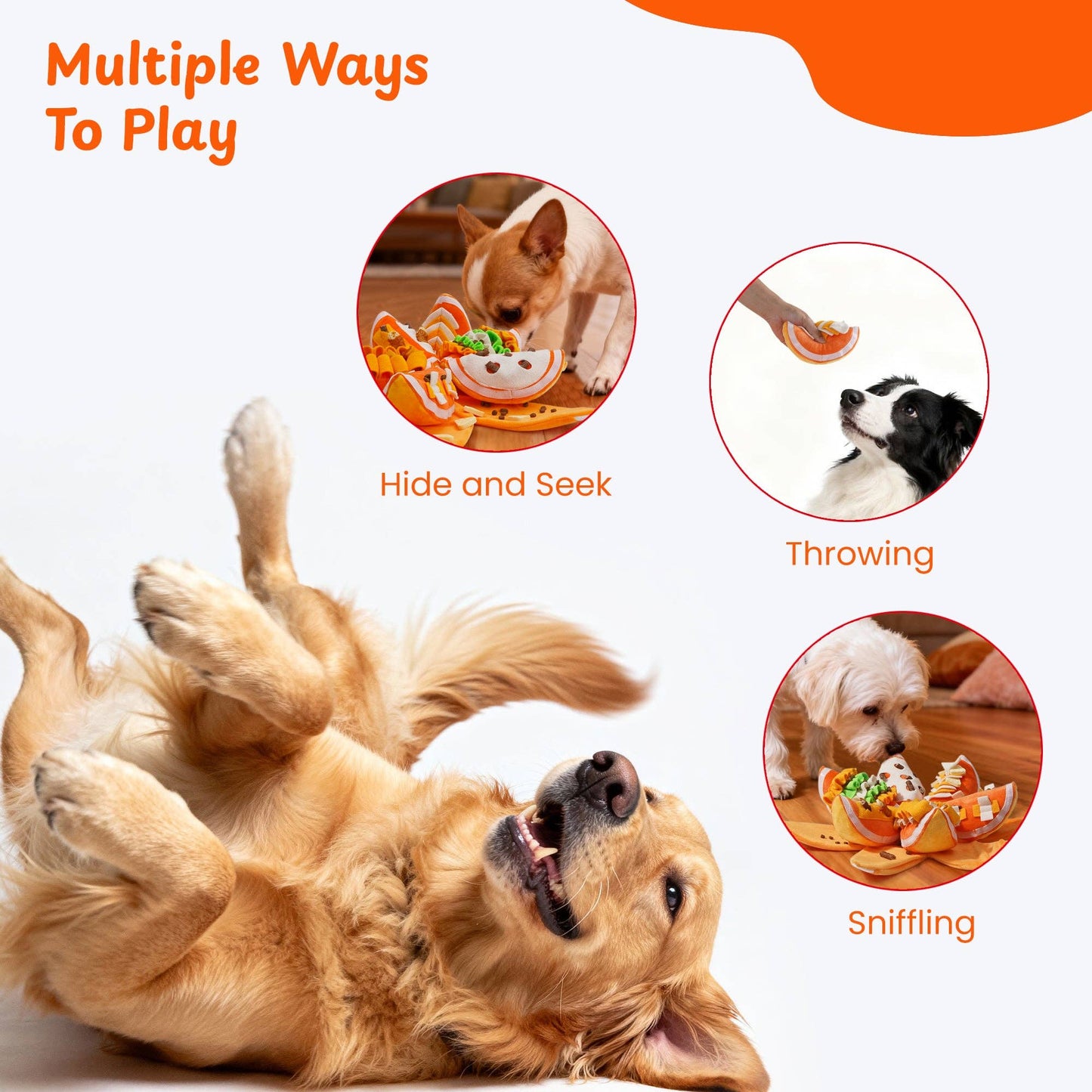 Nocciola Pumpkin Puzzle Dog Toy - Happy Hounds Pet Supply
