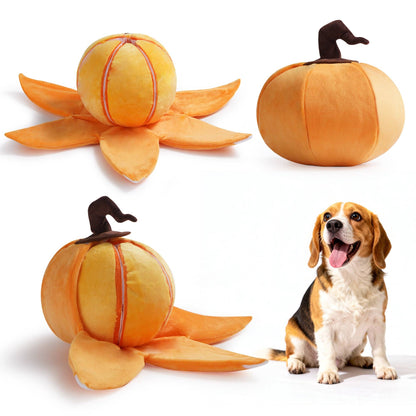 Nocciola Pumpkin Puzzle Dog Toy - Happy Hounds Pet Supply