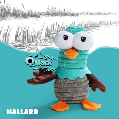 Nocciola Small Squeaky Big Eyes Dog Toy - Happy Hounds Pet Supply