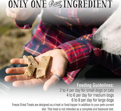 Northwest Naturals Freeze - Dried Beef Heart (by ounce) - Happy Hounds Pet Supply