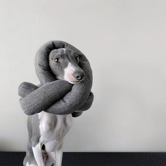 NOU - Enrichment Dog Toy - Happy Hounds Pet Supply