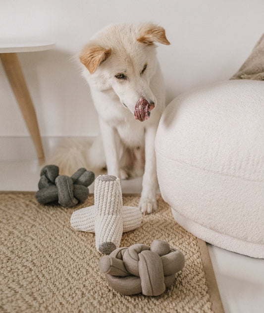 NOU - Enrichment Dog Toy - Happy Hounds Pet Supply