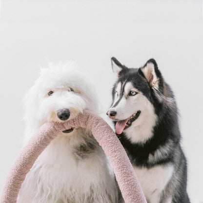 O NOU - Enrichment Dog Toy - Happy Hounds Pet Supply