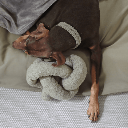 O NOU - Enrichment Dog Toy - Happy Hounds Pet Supply