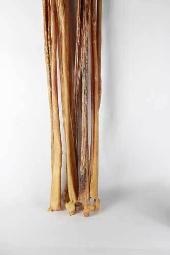 Odor Free Full Cane Bully Stick 32 - 36" - Happy Hounds Pet Supply