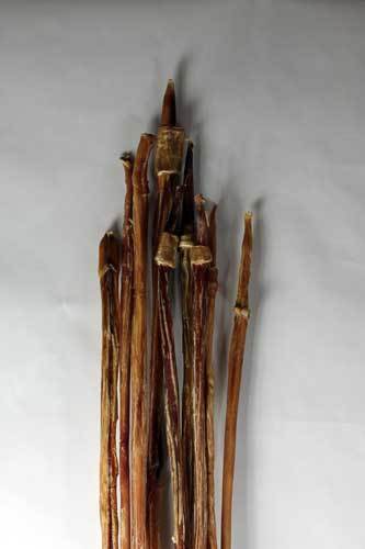 Odor Free Full Cane Bully Stick 32 - 36" - Happy Hounds Pet Supply