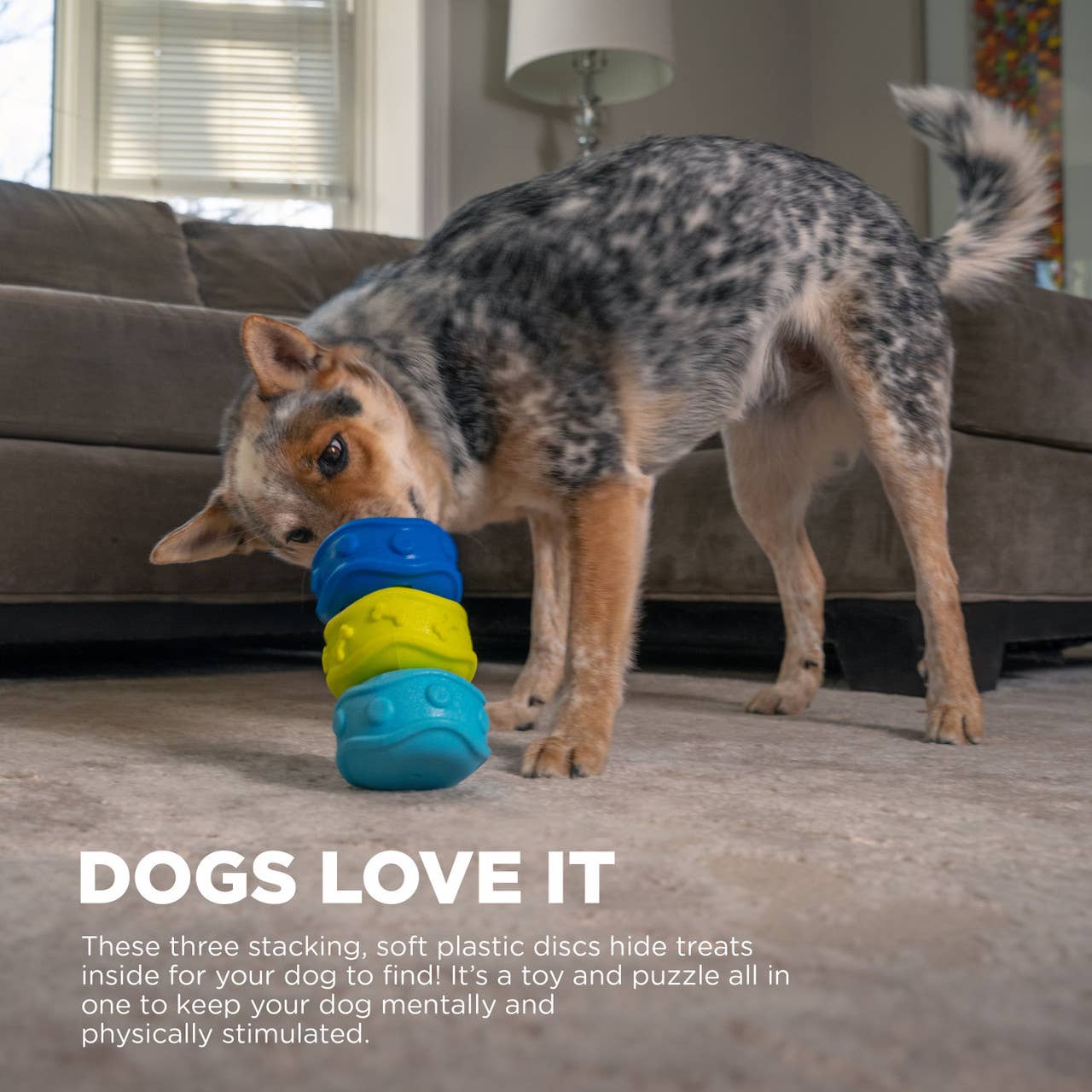 Outward Hound Treat Locking Discs Dog Treat Dispenser Toy - Happy Hounds Pet Supply