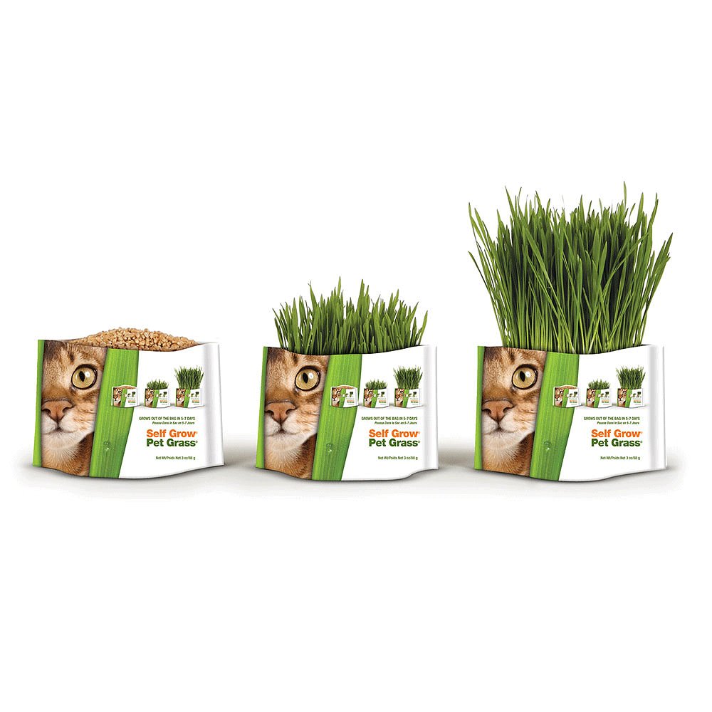 Pet Greens Garden Wheat Grass 88g - Happy Hounds Pet Supply