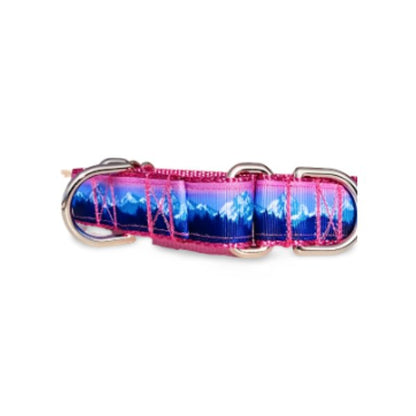 Pink Mountain Dog Collars and Leashes - 1" wide - Happy Hounds Pet Supply