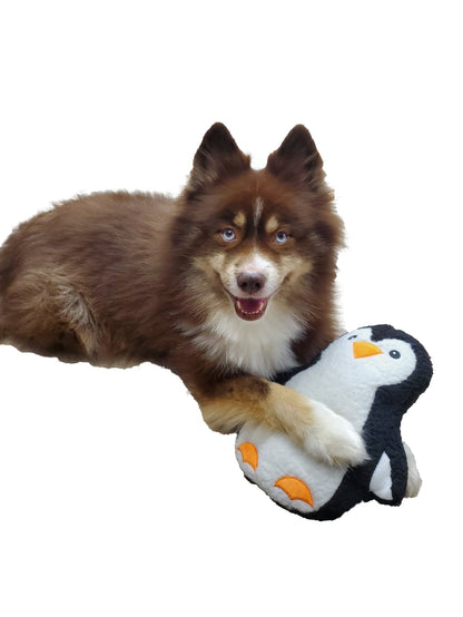 Polly the Penguin Wildlife Plush Dog Toy - Happy Hounds Pet Supply