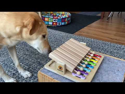 My Intelligent Pets Dog and Cat Puzzles