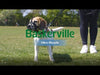 Baskerville Ultra Muzzle