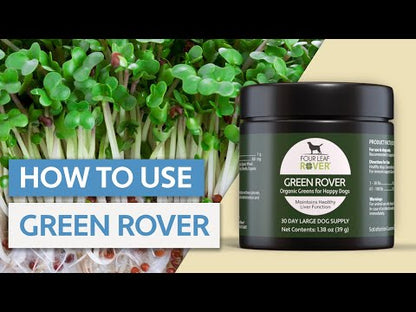 Four Leaf Rover Green Rover for Liver and Kidney Support