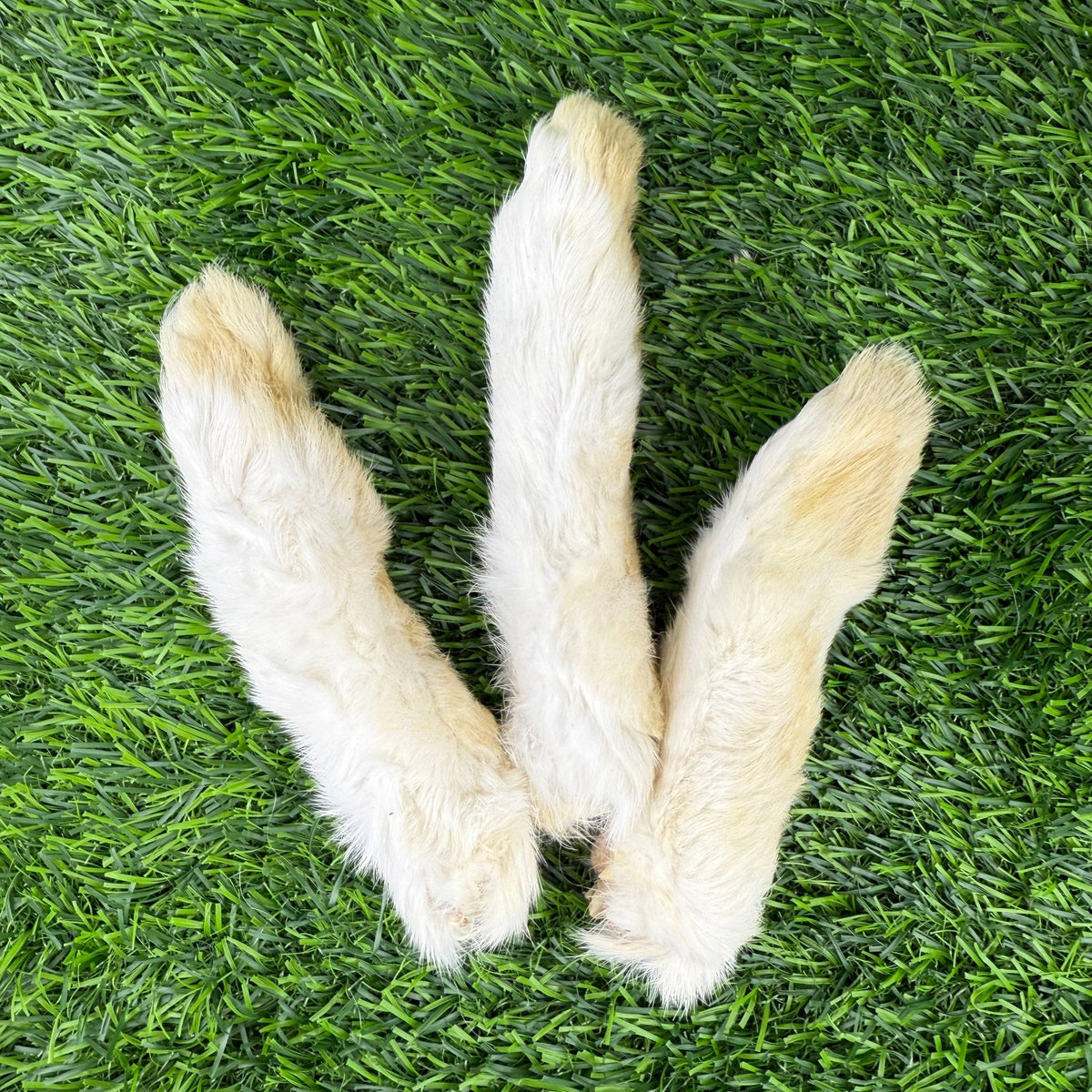 Dog Rabbit Feet Rabbit Feet – Happy Hounds Pet Supply