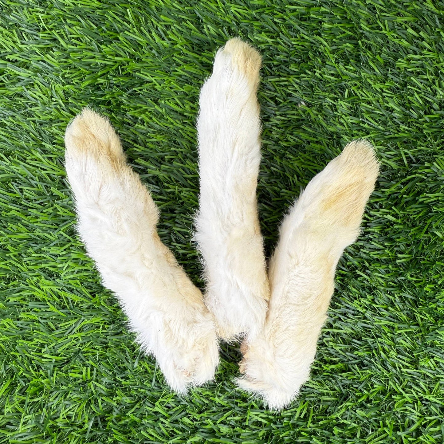 Rabbit Feet - Happy Hounds Pet Supply
