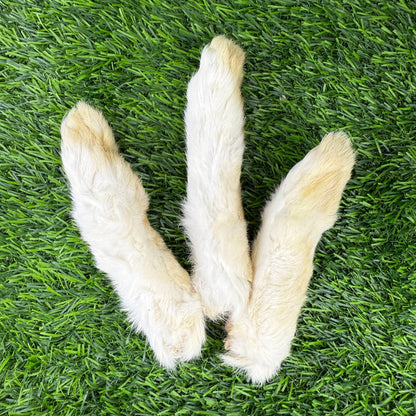 Rabbit Feet - Happy Hounds Pet Supply