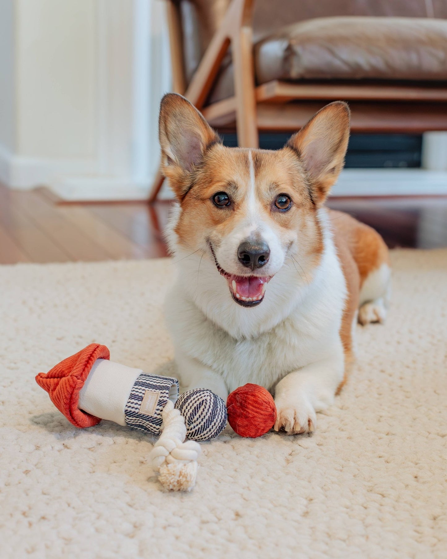 Rocket Confetti POP - Happy Hounds Pet Supply