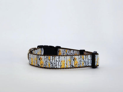 Rocky Mtn Hound Aspen Tree Dog Collars and Leashes - 1" wide - Happy Hounds Pet Supply