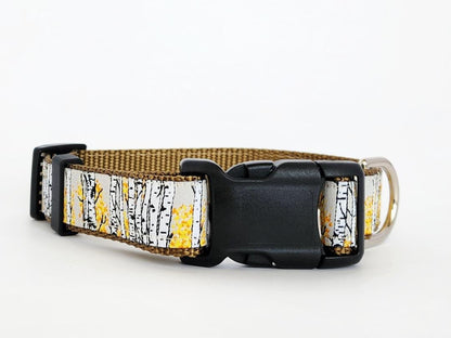 Rocky Mtn Hound Aspen Tree Dog Collars and Leashes - 1" wide - Happy Hounds Pet Supply