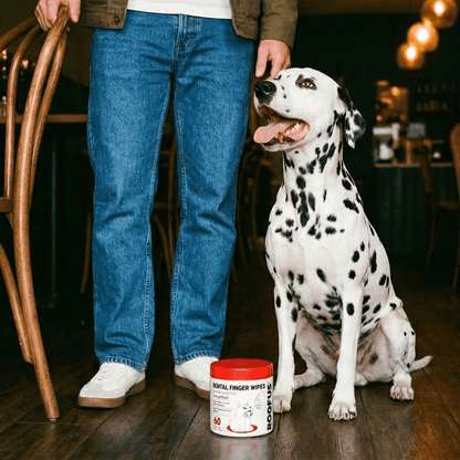 Roofus Dental Wipes (60 Count) - Happy Hounds Pet Supply