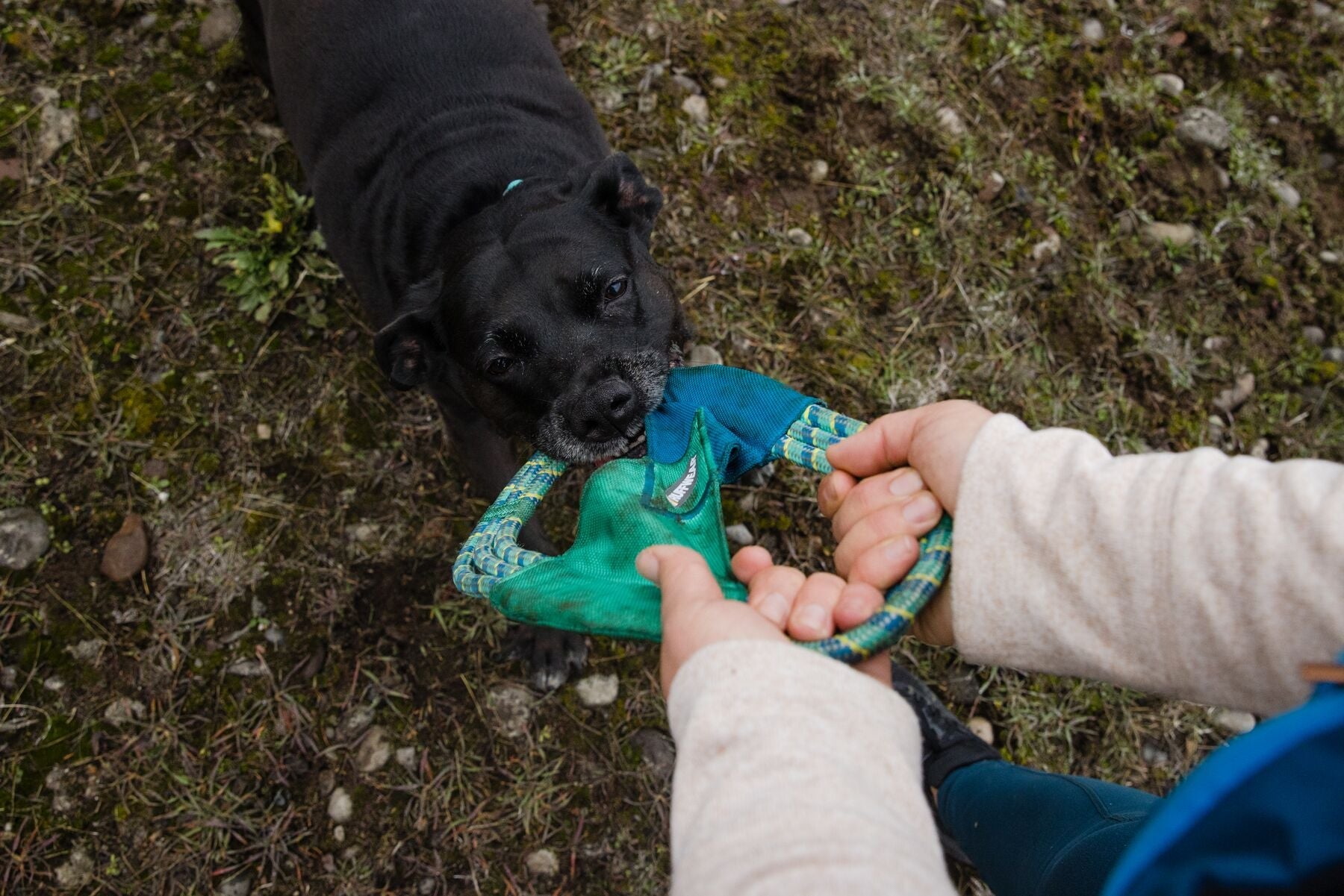 Ruffwear Pacific Ring Fling Fetch Tug - Happy Hounds Pet Supply