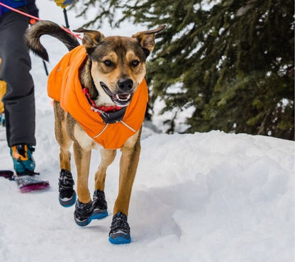 Ruffwear Quinzee Jacket - Happy Hounds Pet Supply