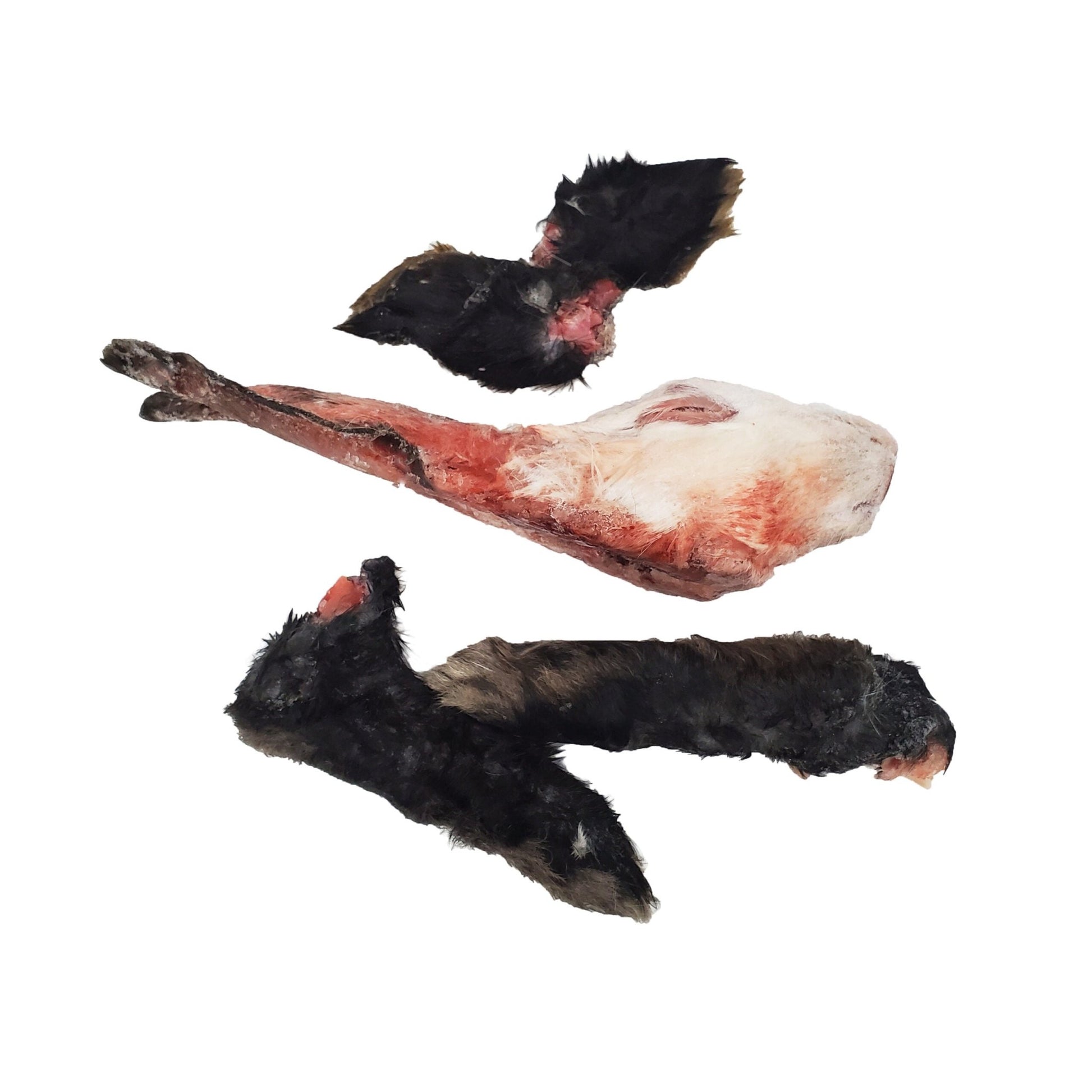 Savage Cat (and Dog) Raw Snacks - Happy Hounds Pet Supply
