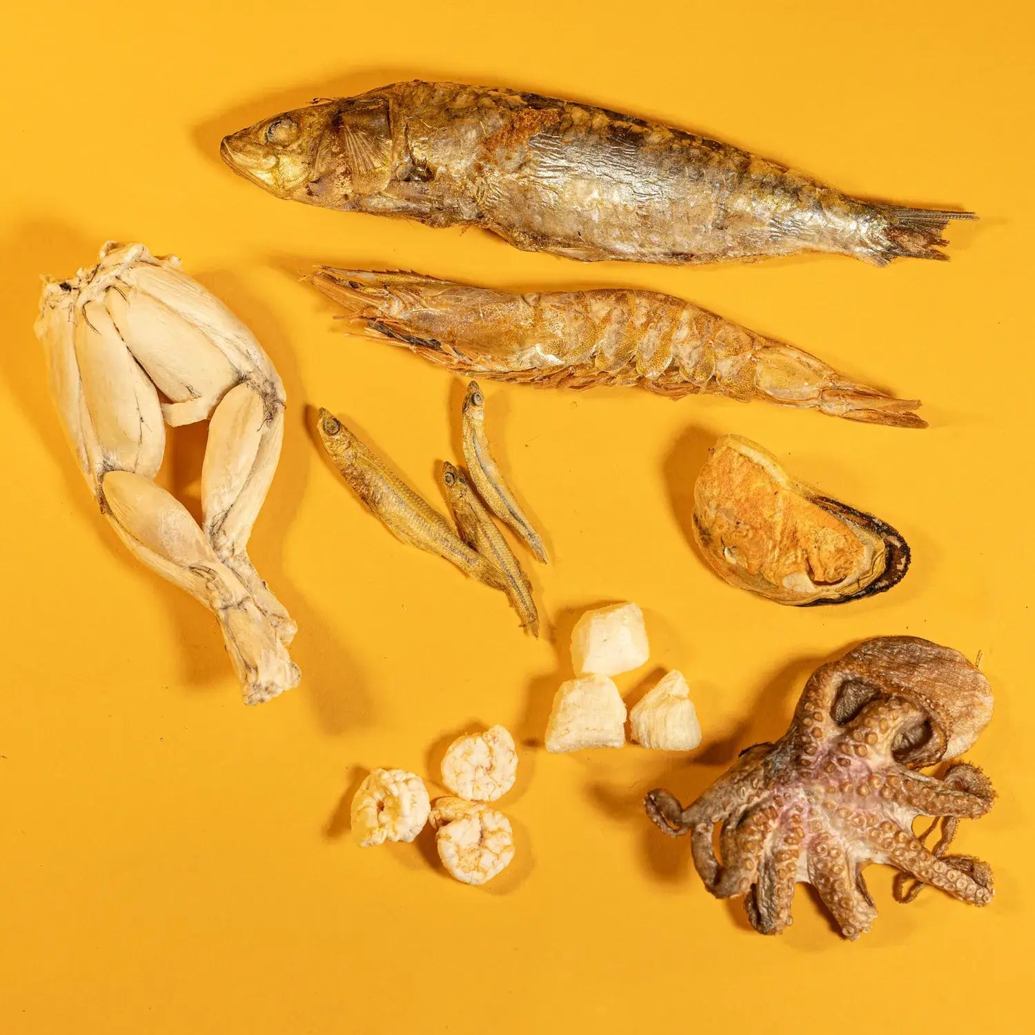 Seafood Sampler - Happy Hounds Pet Supply