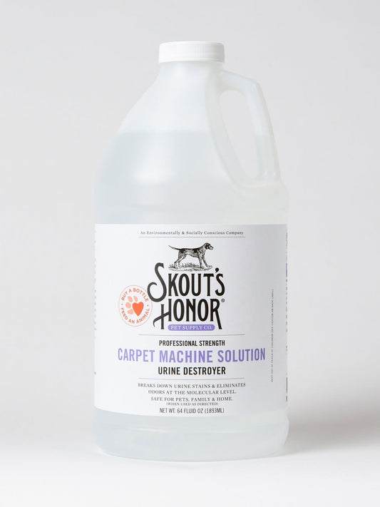 SKOUT'S HONOR DOG CARPET MACHINE SOLUTION 64oz - Happy Hounds Pet Supply