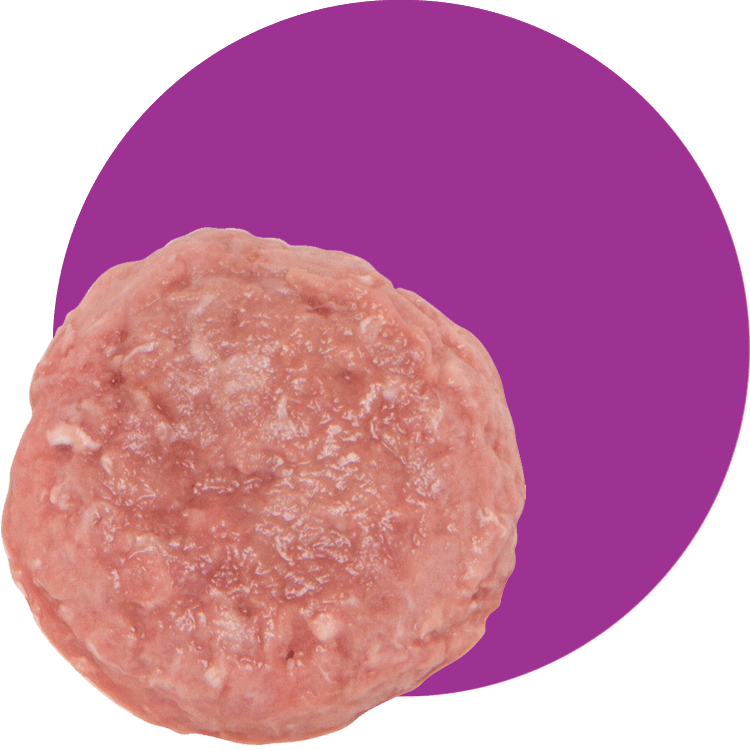 Small Batch Frozen Raw Dog Food Blends - Happy Hounds Pet Supply