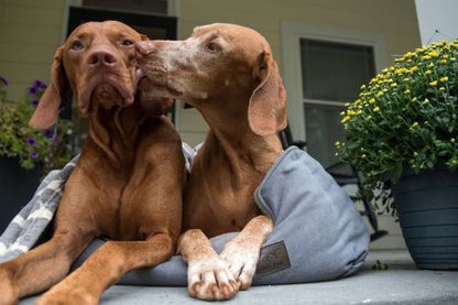 Tall Tails Bolster Beds - Happy Hounds Pet Supply