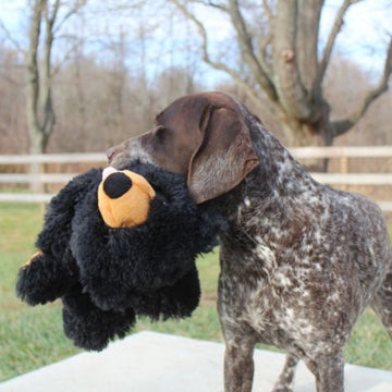 Gorilla Rope Body Dog Toy
