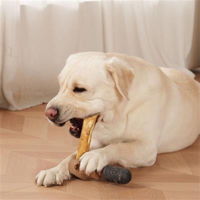 Territory Treat Lock Treat Holder - Happy Hounds Pet Supply