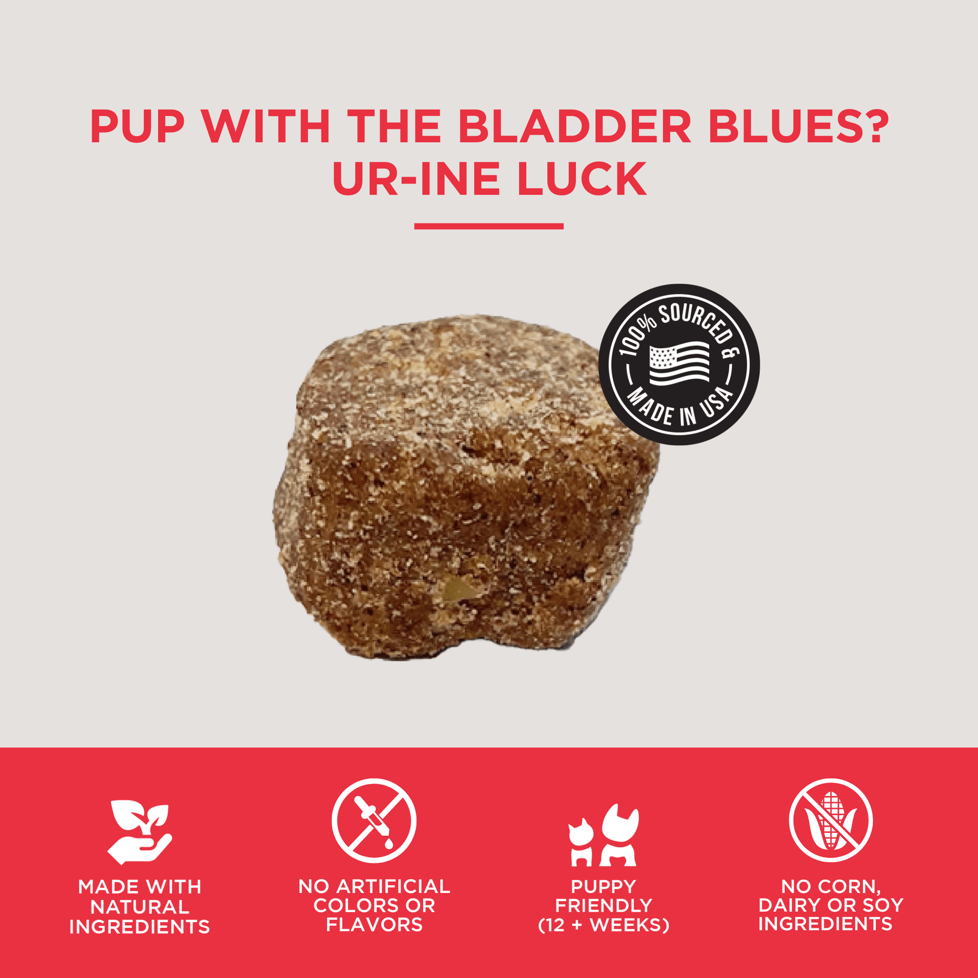 The Only Bladder Support Soft Chews Dogs Need - Happy Hounds Pet Supply