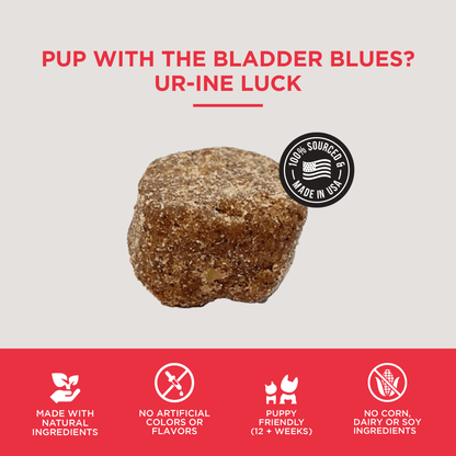 The Only Bladder Support Soft Chews Dogs Need - Happy Hounds Pet Supply