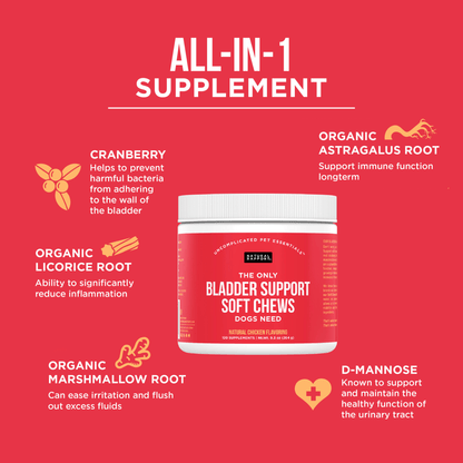 The Only Bladder Support Soft Chews Dogs Need - Happy Hounds Pet Supply