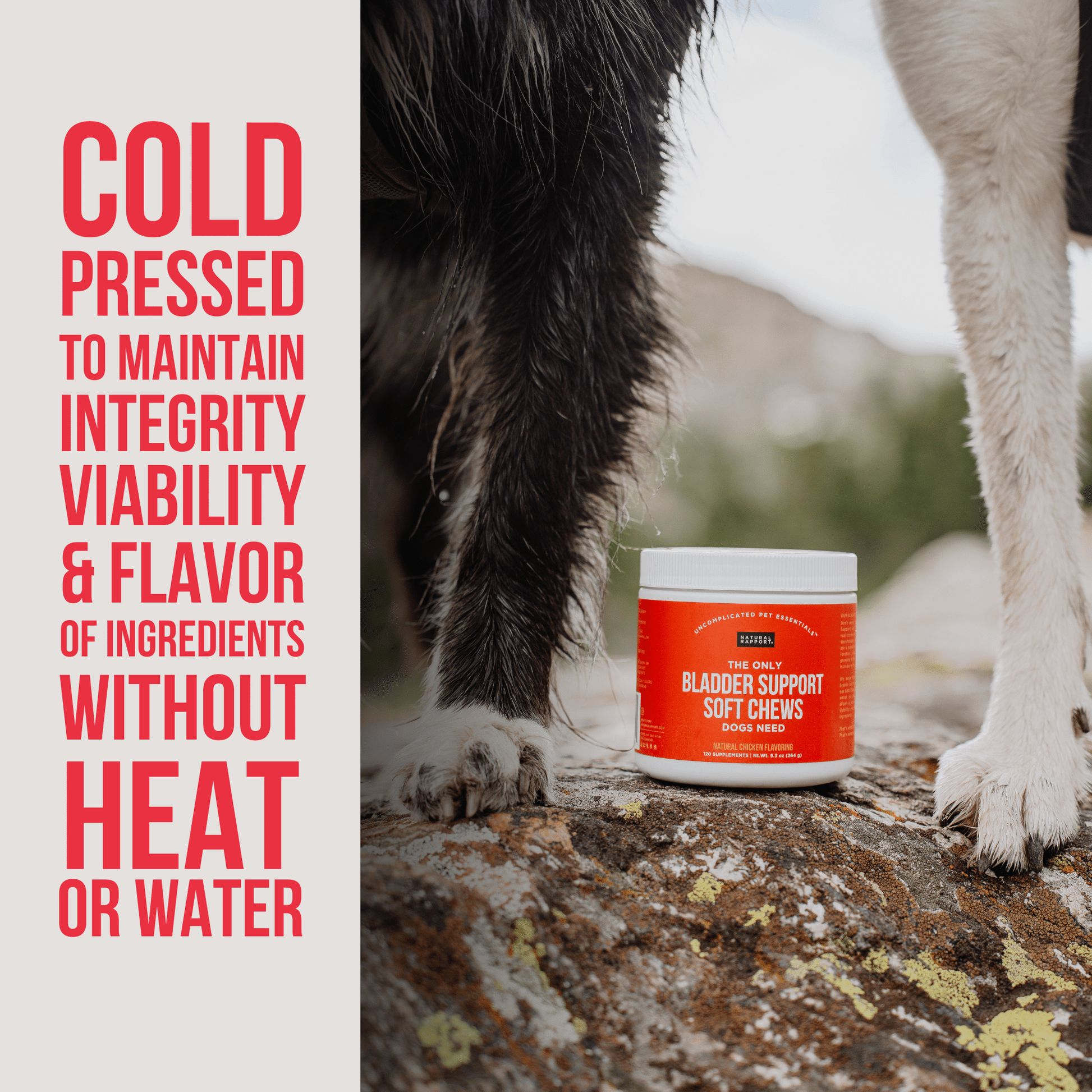 The Only Bladder Support Soft Chews Dogs Need - Happy Hounds Pet Supply