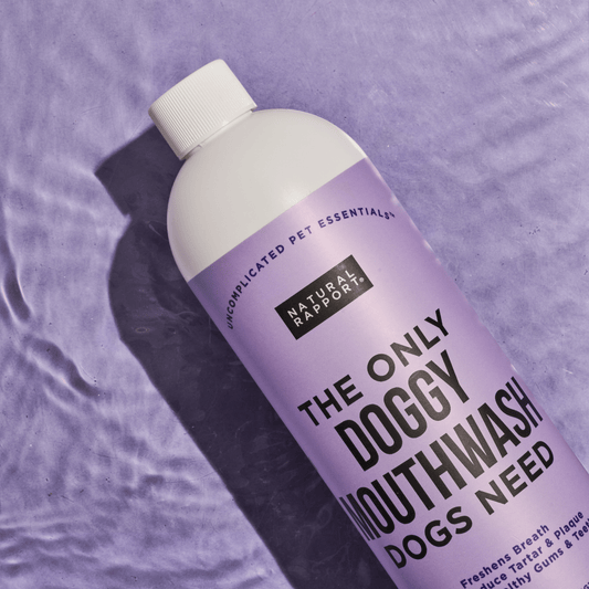 The Only Doggy Mouthwash Dogs Need - Happy Hounds Pet Supply