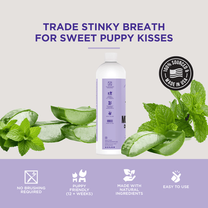 The Only Doggy Mouthwash Dogs Need - Happy Hounds Pet Supply