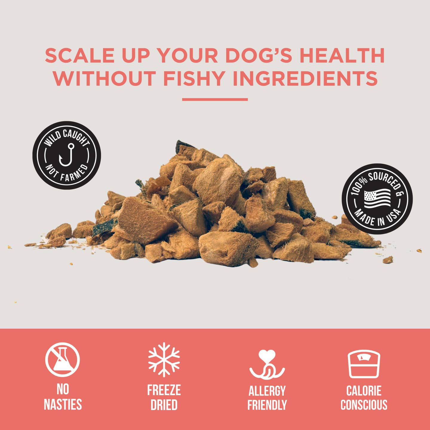 The Only Freeze Dried Salmon Dogs Need - Happy Hounds Pet Supply