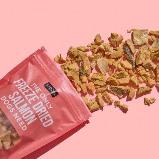 The Only Freeze Dried Salmon Dogs Need - Happy Hounds Pet Supply
