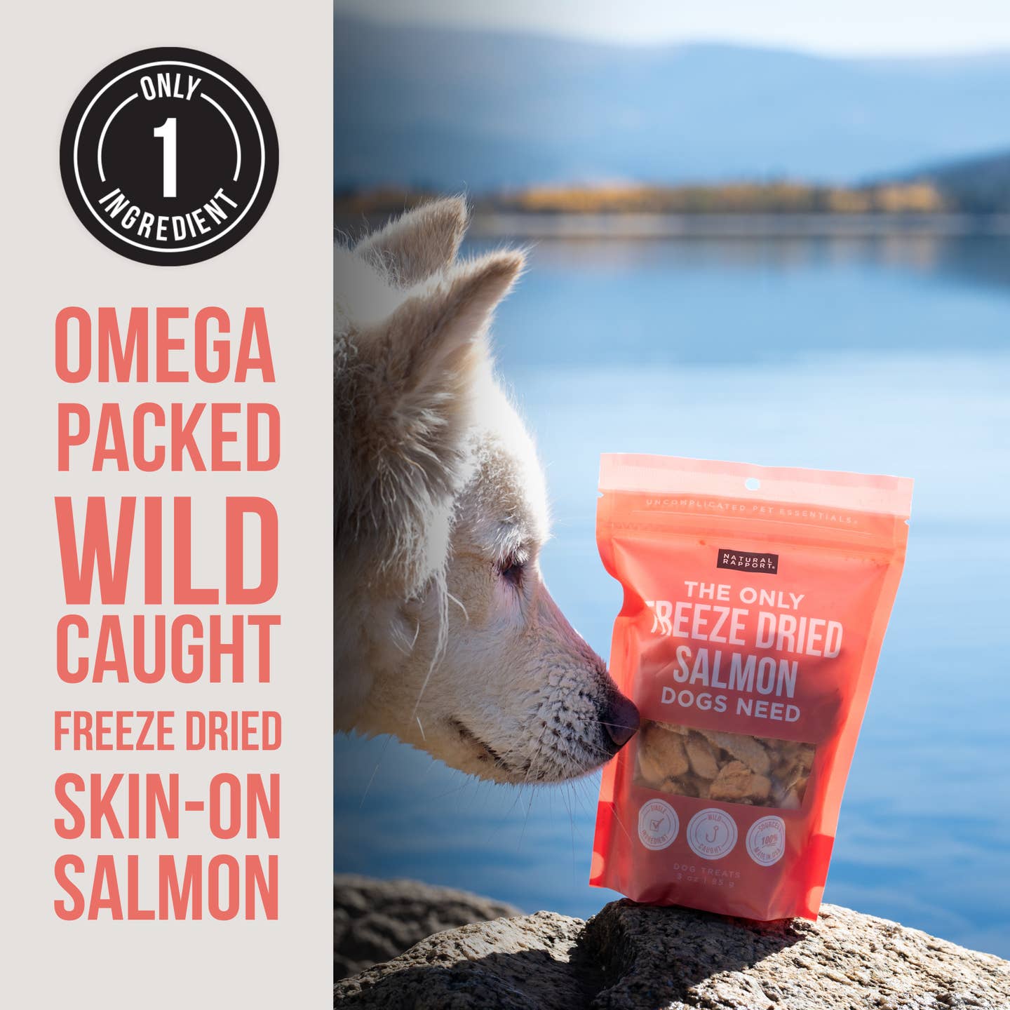 The Only Freeze Dried Salmon Dogs Need - Happy Hounds Pet Supply