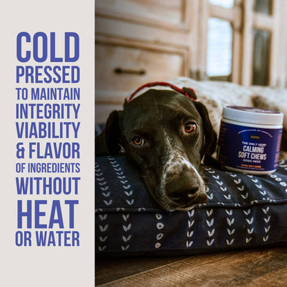 The Only Hemp Calming Soft Chews Dogs Need - Happy Hounds Pet Supply