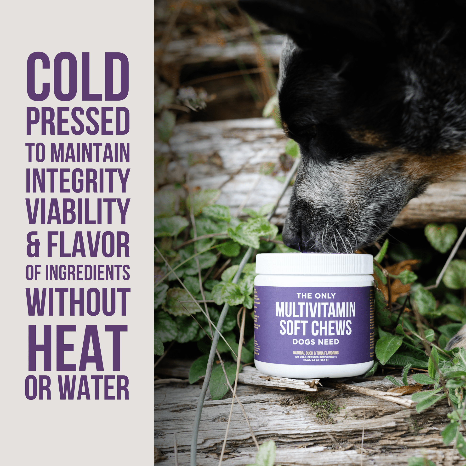 The Only Multivitamin Soft Chews Dogs Need - Happy Hounds Pet Supply