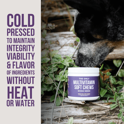 The Only Multivitamin Soft Chews Dogs Need - Happy Hounds Pet Supply